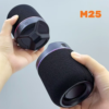 M25 Two-In-One Split Wireless DJ Speaker