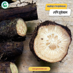 chui-jhal Big Size Deshi Chui Jhal 1KG